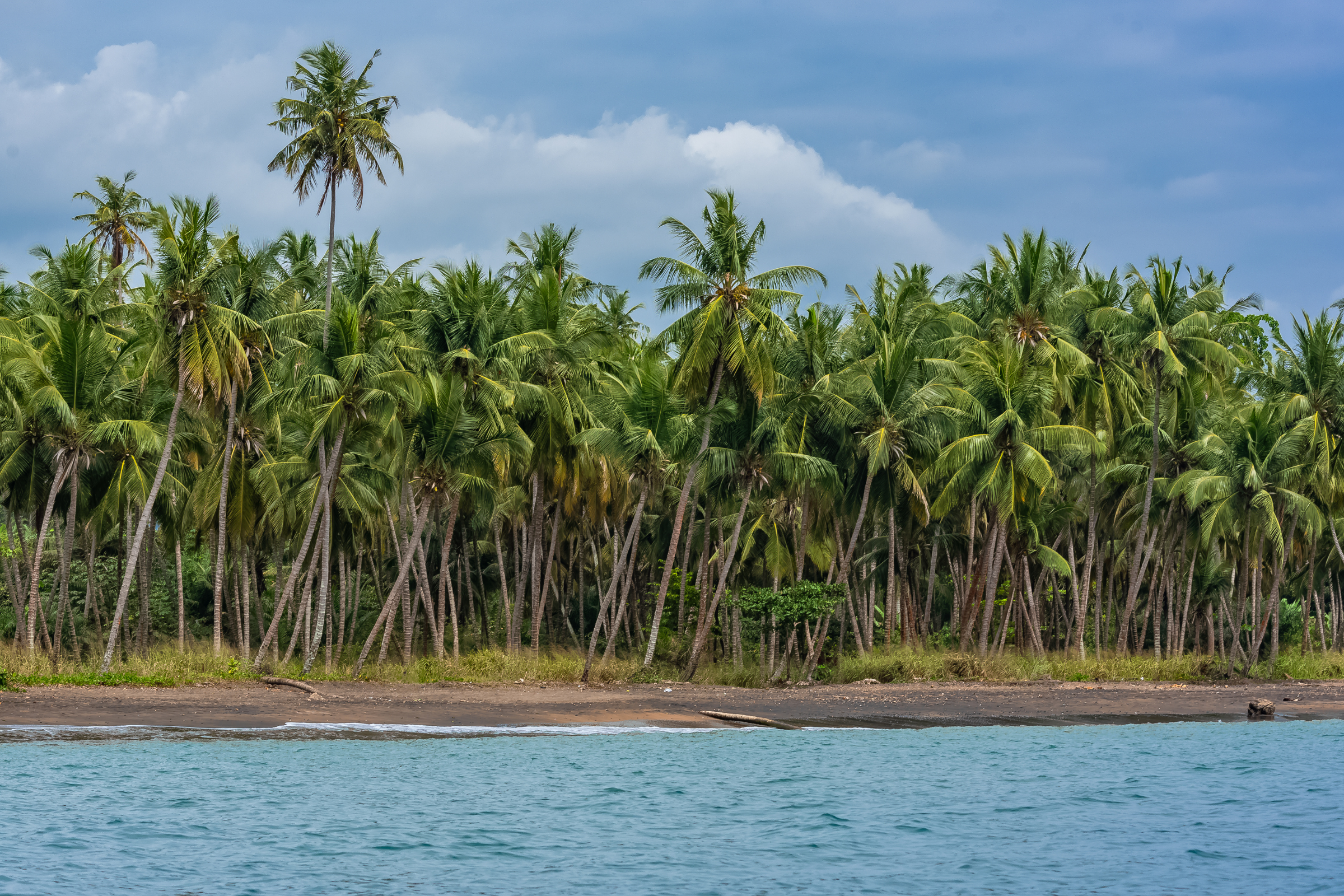 bom bom island (2).webp
